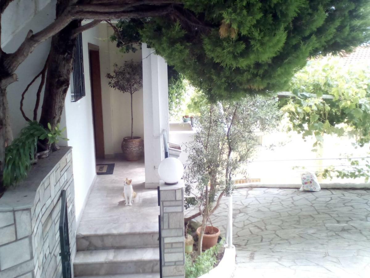 Kavala Apartment المظهر الخارجي الصورة